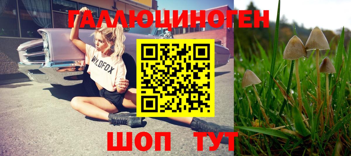 Галлюциногенные грибы Magic Shrooms  Псилоцибиновые грибы Psilocybine cubensis  где найти   Кисловодск  Вход с VPN 